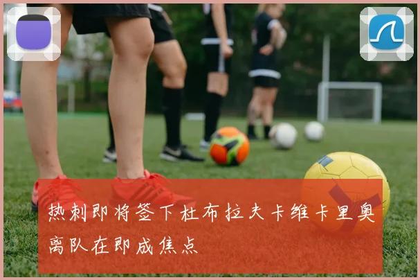 热刺即将签下杜布拉夫卡维卡里奥离队在即成焦点